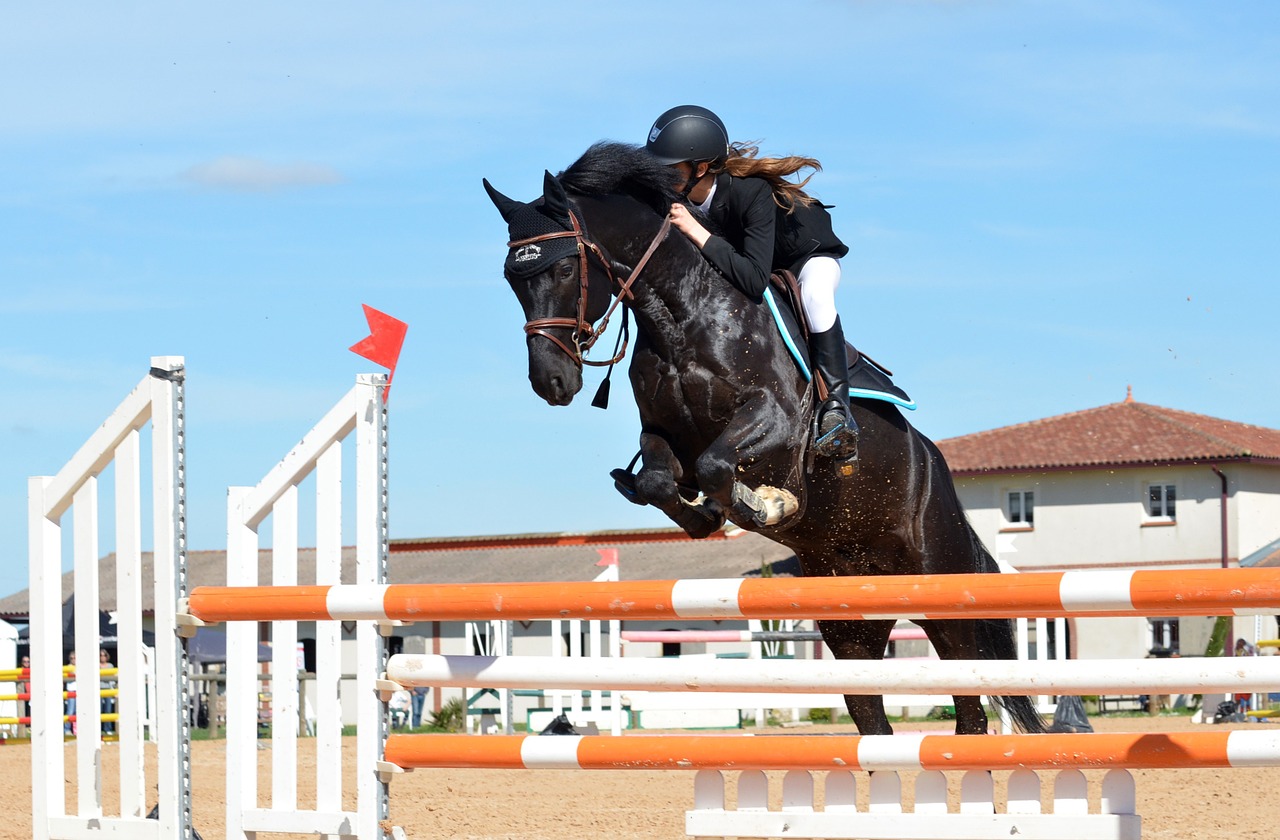 Beginner’s Guide to Horse Riding Kit – Llanthonyriding.co.uk